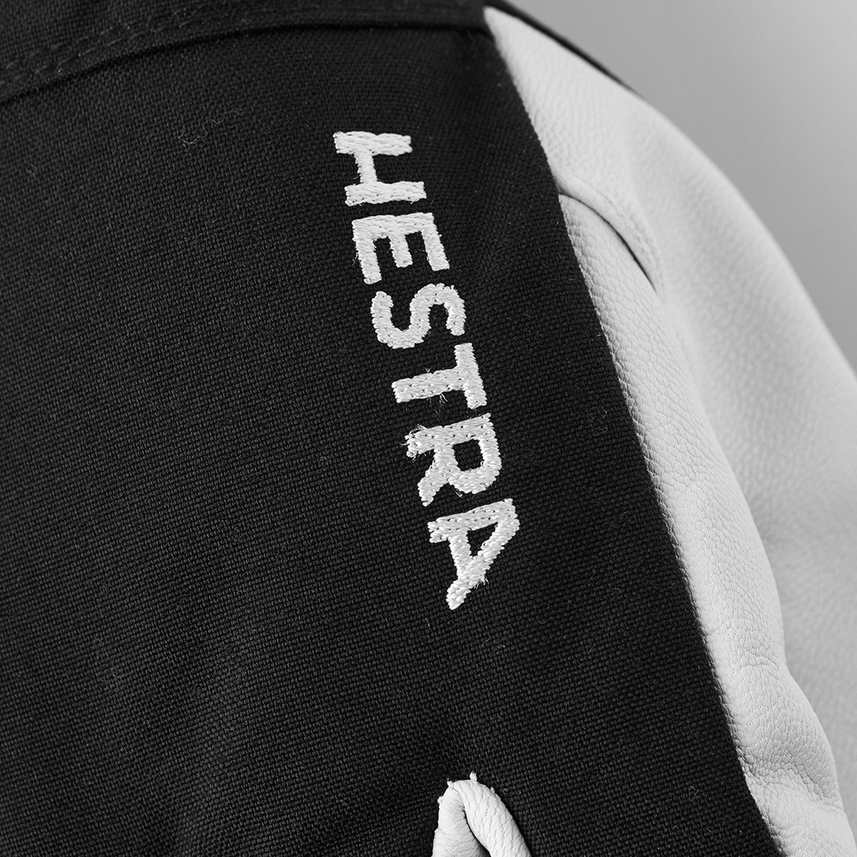 Hestra Army Leather Heli Ski - 5 finger