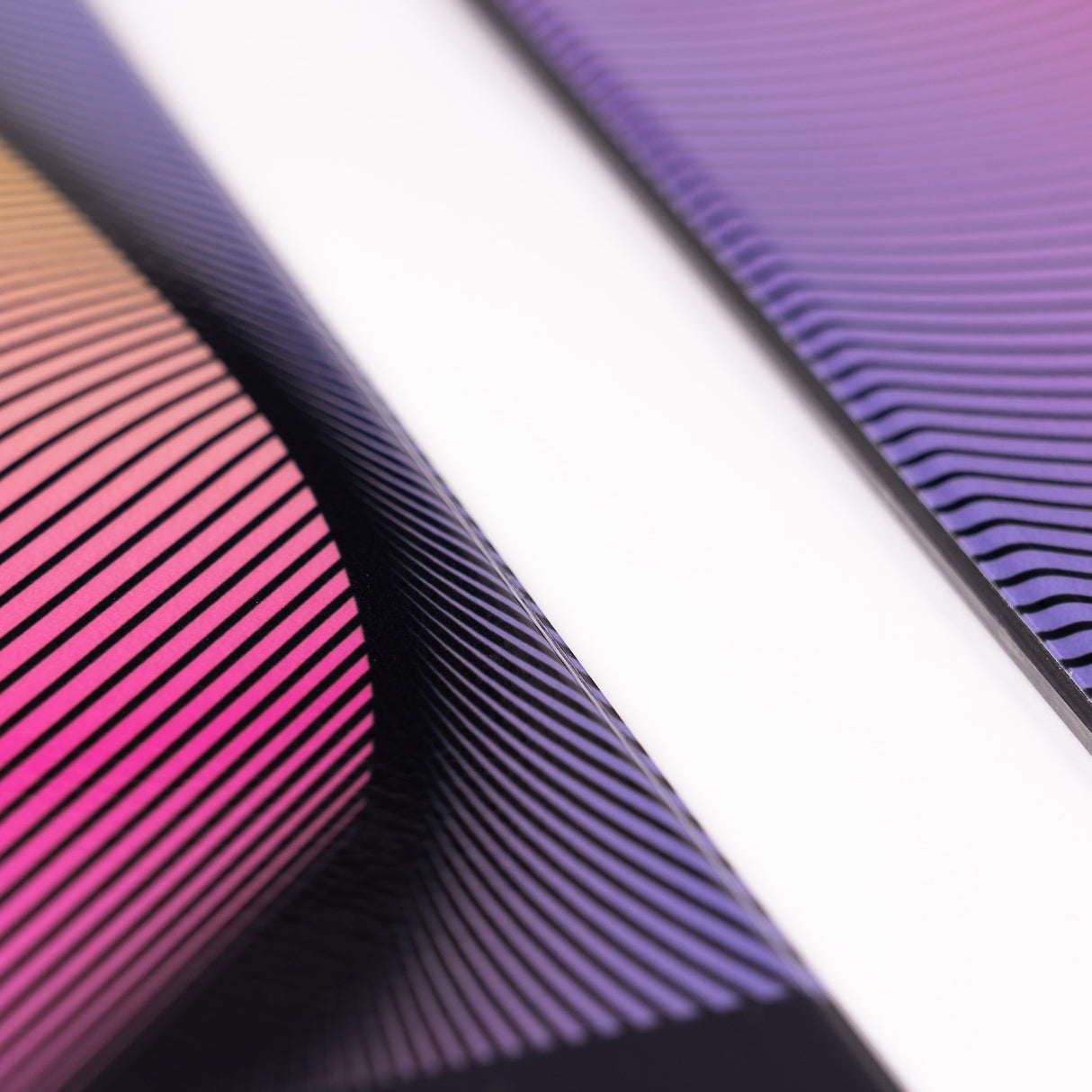 Faction Studio 1 25/26