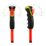 Leki WCR Evo Lite GS TR
