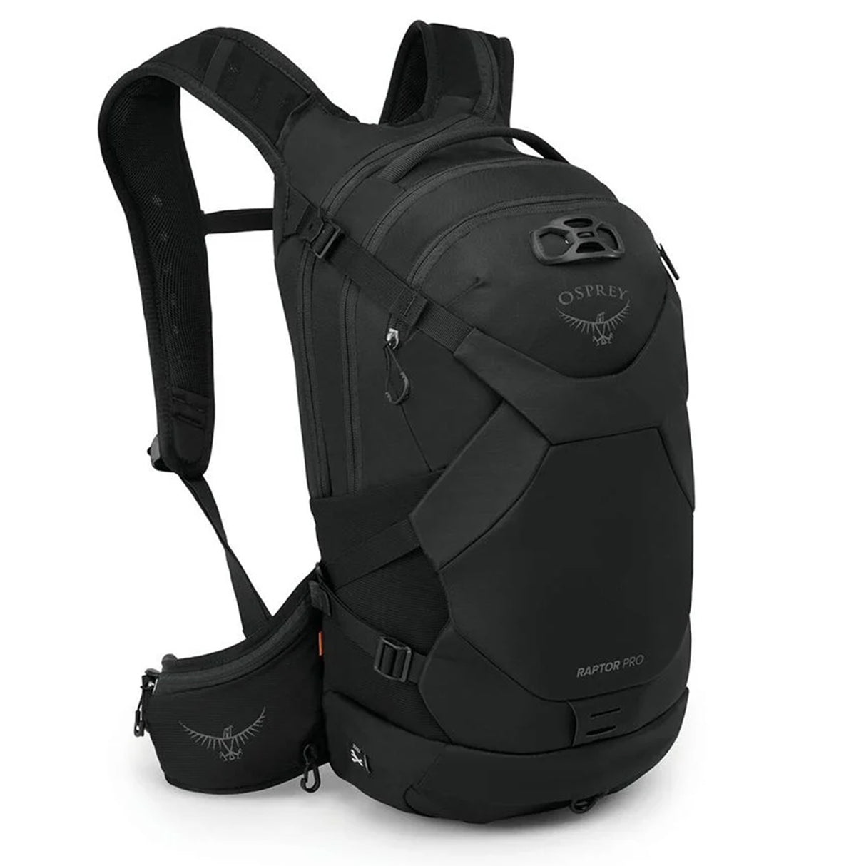 Osprey Raptor Pro