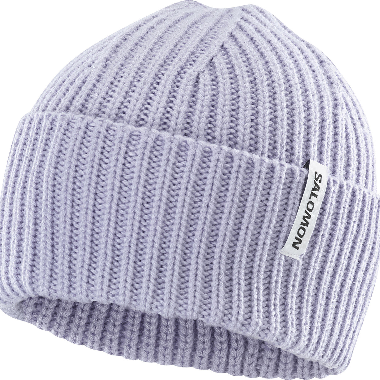 Salomon Snowbird Beanie