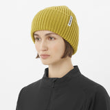 Salomon Snowbird Beanie