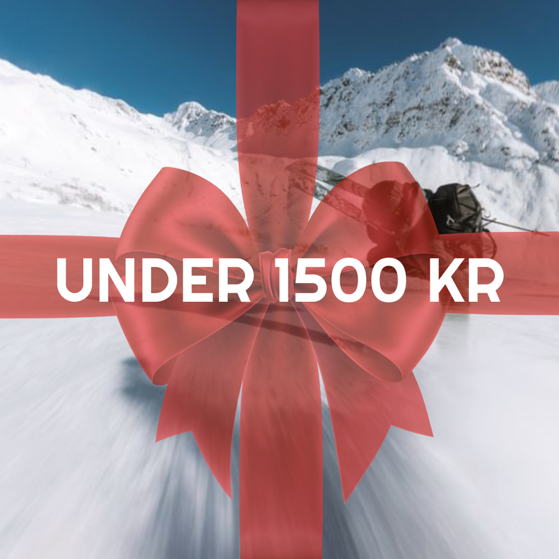 Julklappstips under 1500